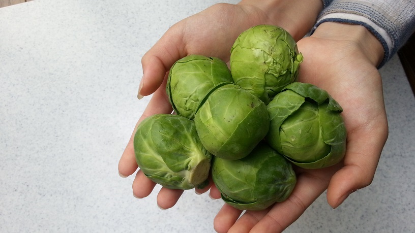 冬の優れ野菜 芽キャベツ 輝くママ ハッピー ノート Com