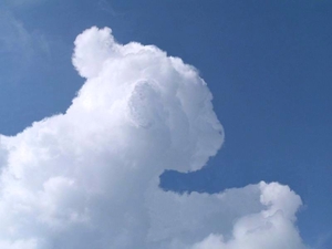 くまの雲